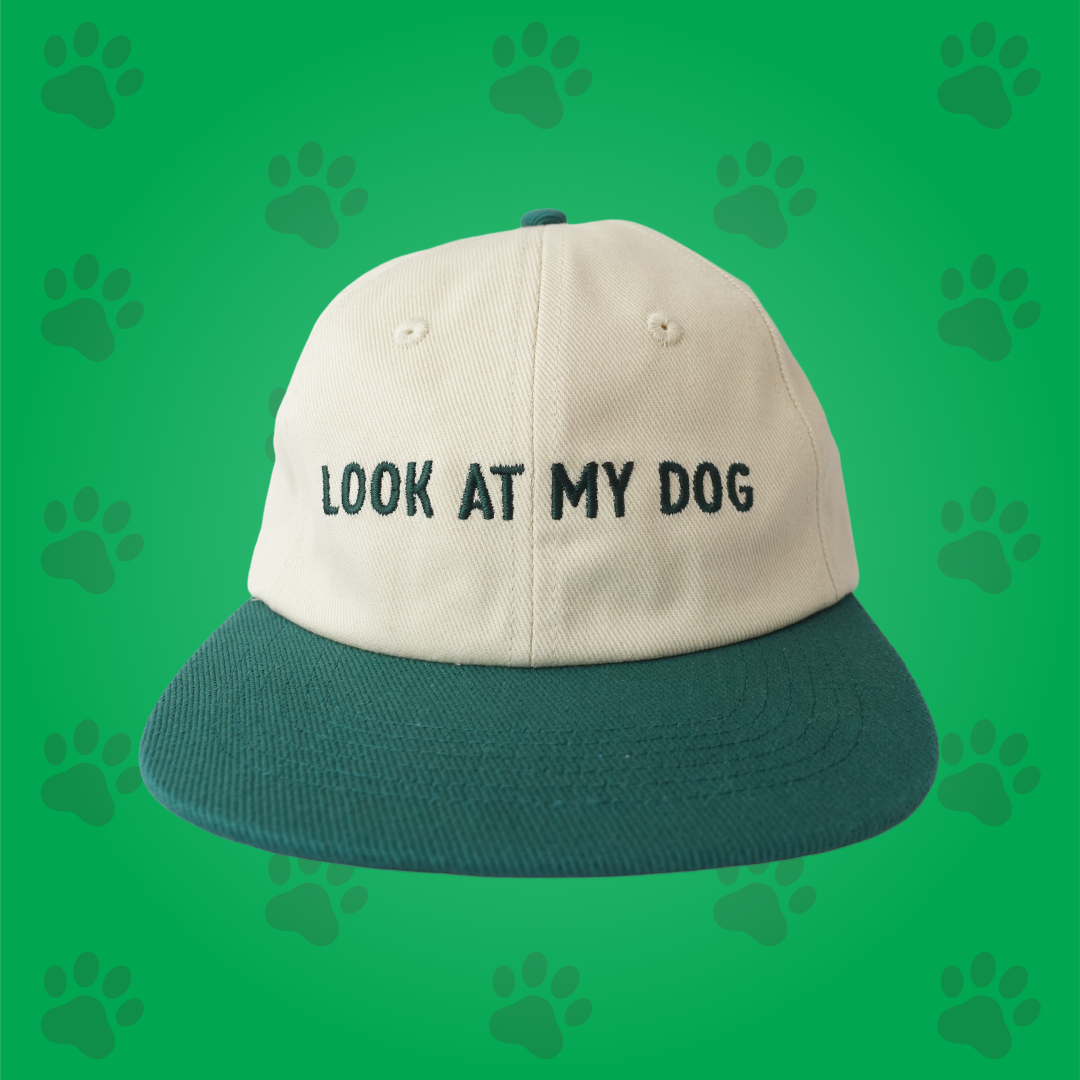 Dog Walking Hat