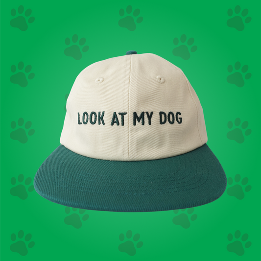 Dog Walking Hat